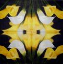 035 Calla - 3-ply